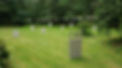 20240617_101557_edited.jpg