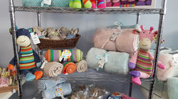 Better Than Sox is one of the leading gift shops in Sydney. We founded Better Than Sox with one goal