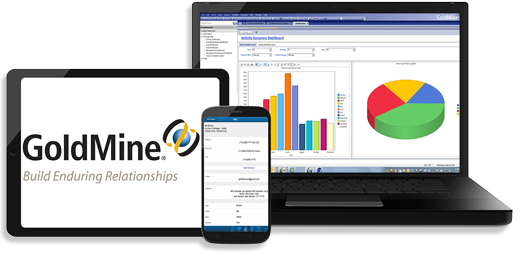GoldMine in the Cloud