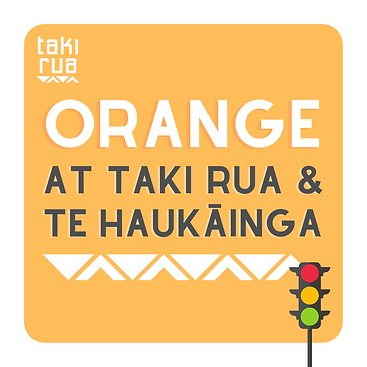 Taki Rua Traffic Light Post.png