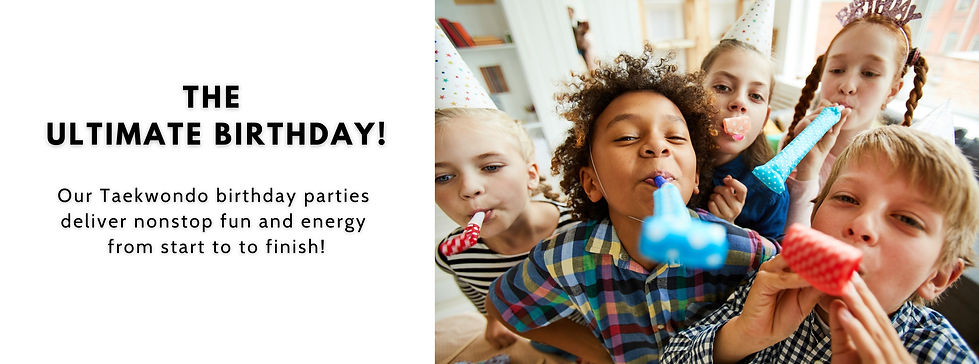 tkd birthday party website 2.jpg