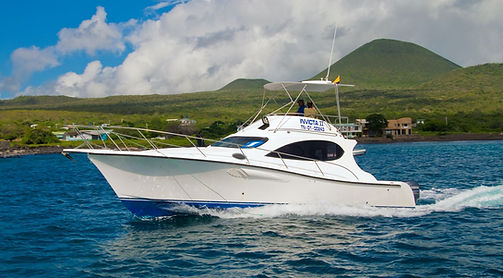 WhatsApp Image 2026-04-10 at 4.29.19 PM.jpeg