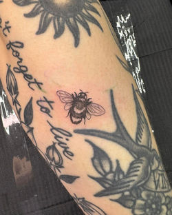Little Bee from Sasha