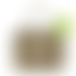 The large tote by Marc Jacob’s is on sale in green