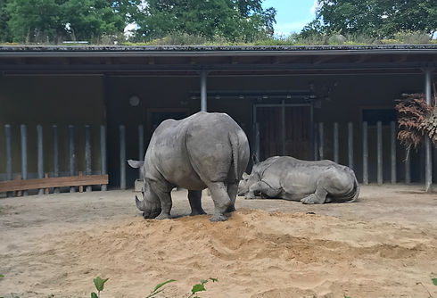 Augsburger Zoo