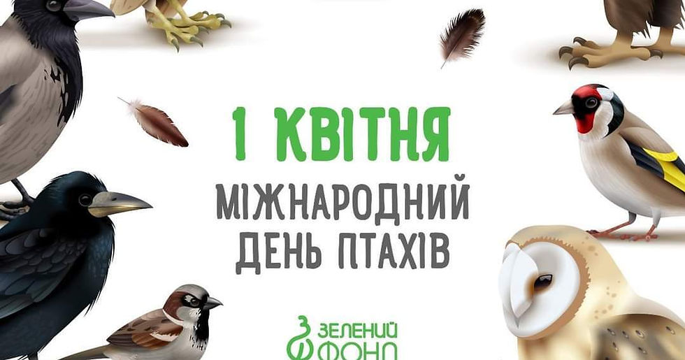 Крила, що тримають небо