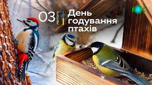 Зернятко надії: даруємо птахам тепло й життя