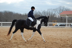 Mocha and Jessica Gilker