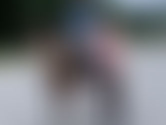 New to Horses or Returning to Horses? Some Rambling Insights by An Amateur Horse Owner