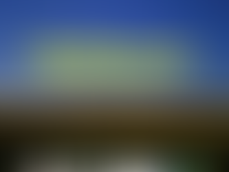 Sunflowers: Voices of Ukraine - A New Podcast Launch Amid Ongoing Resilience