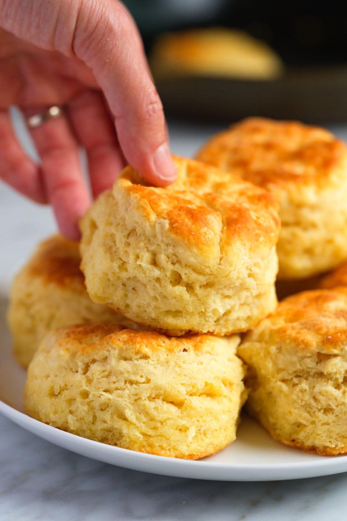 Buttermilk Biscuits