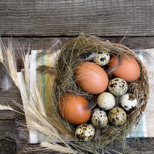 Are you having an Egg-estitial Crisis?