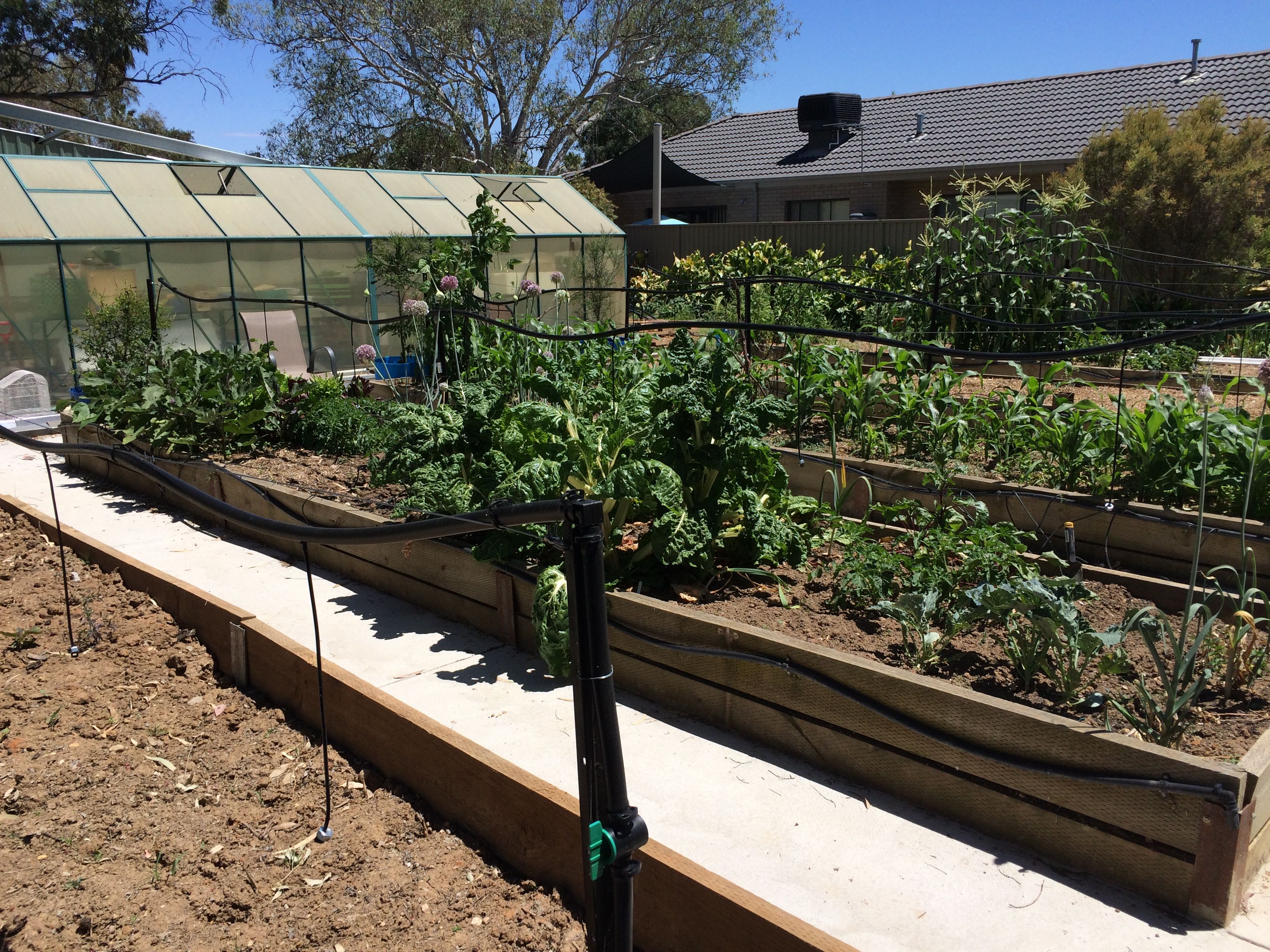 Community garden - Birallee NH