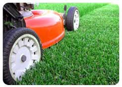 Grass Cutting