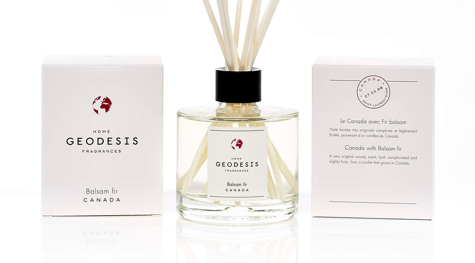 DIFFUSEUR Balsam Fir, par Géodésis