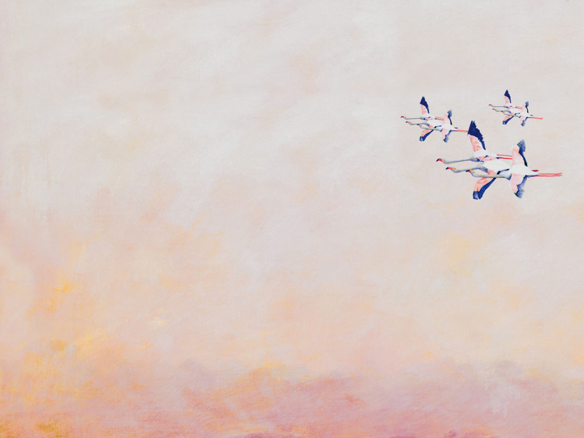 FLAMINGOS, par Maison Levy