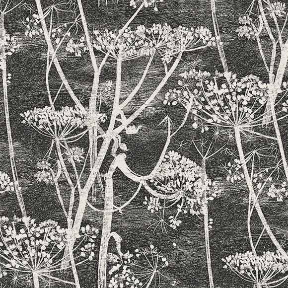 COW PARSLEY par Cole & Son