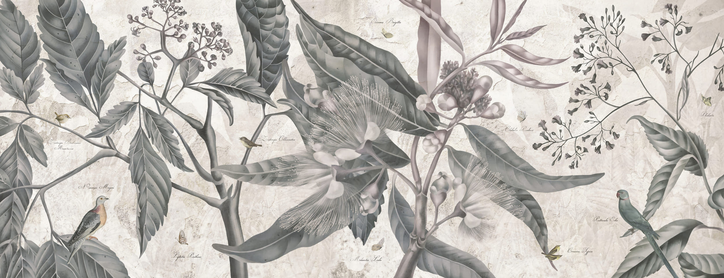 MALCY, par Les Dominotiers