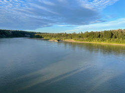 IMG_3022.jpeg