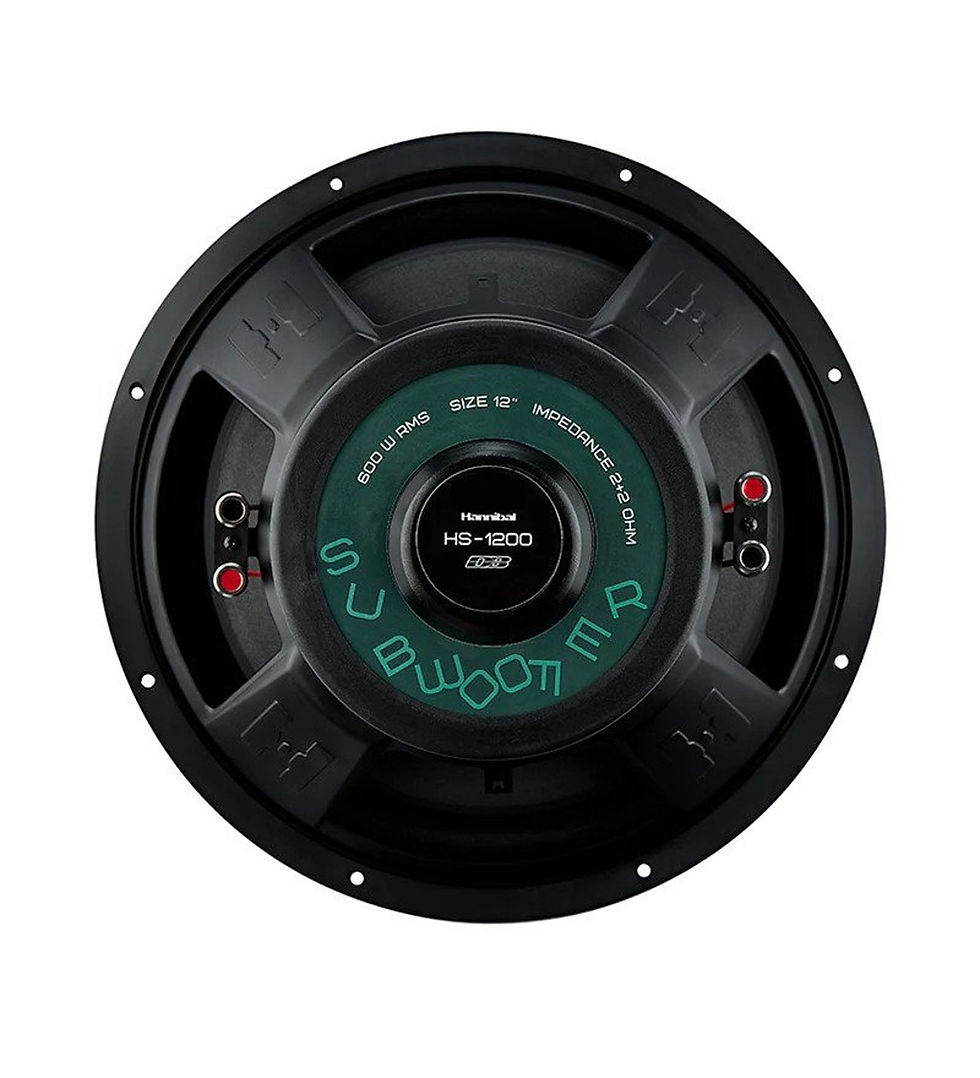 Küçük resim: HANNİBAL HS-1200 30 CM ÇİFT BOBİN 600 RMS SUBWOOFER NAKİT FİYAT
