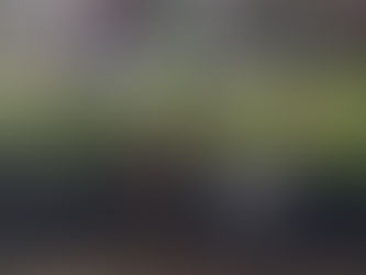 Teaching Garden update 5/29