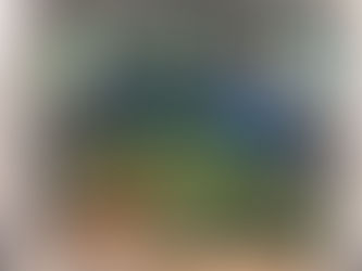 Teaching Garden Update 7/24