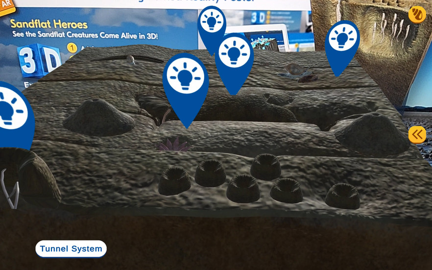 Sandflat Heroes AR game screen showing a 3D cross section of sand with burrows and tunnels, with multiple creature discovery markers and a Tunnel System label