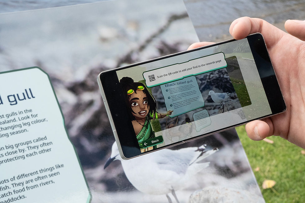 A hand holding a phone over a Black Billed Gull trail sign, displaying an animated character and information panel on screen after scanning a QR code