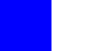 blue square banner.png