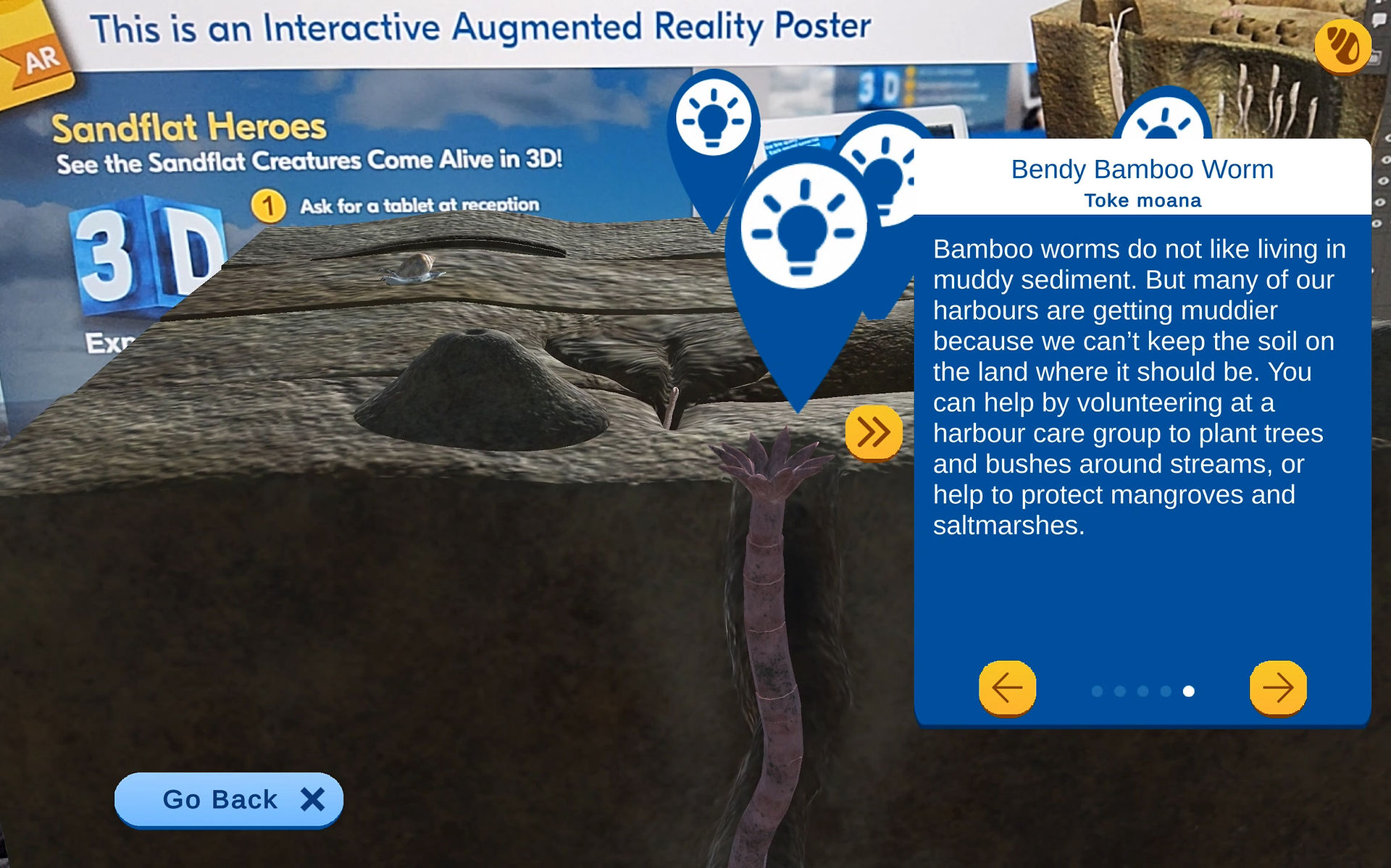 Sandflat Heroes AR game screen showing a bamboo worm tunnelling deep beneath the sandflat surface with a fact panel explaining how muddy harbours can be helped by planting trees and protecting mangroves