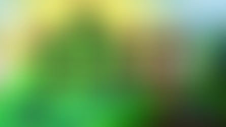 Wizard World of Numbers game level selection screen showing ten numbered buttons from One to Ten arranged on an animated magical green hillside, with wizard characters visible, a Main Menu button and a Rewards Room button, set against a sunny fantasy landscape
