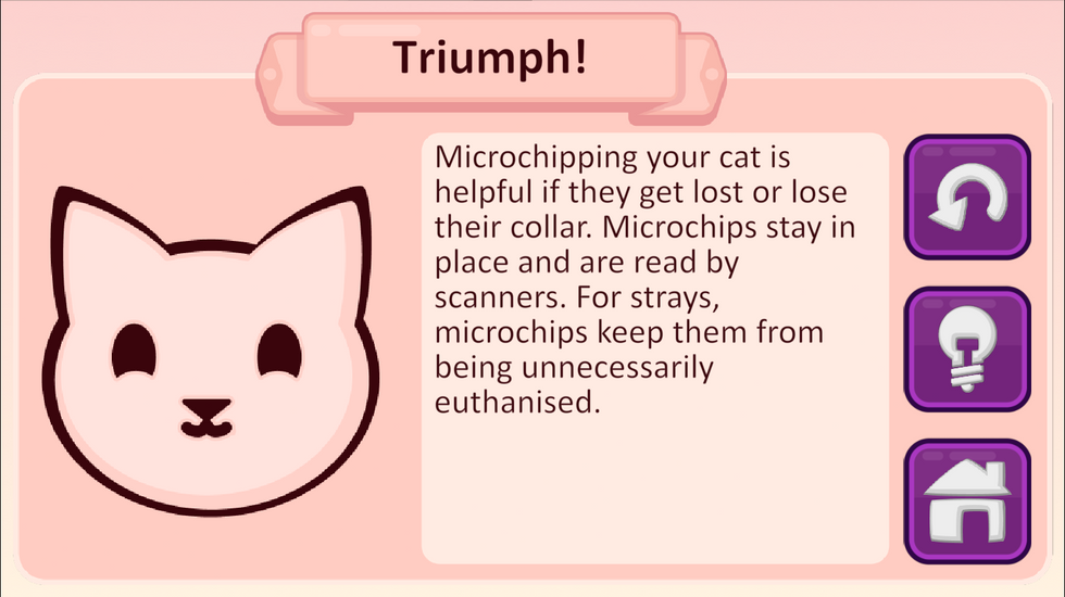 Cat Angels Triumph Triumph screen with a cat icon and advice on microchipping, explaining that microchips help find lost cats and prevent unnecessary euthanasia of strays