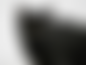 My Cat Is Losing Weight? What’s Wrong?