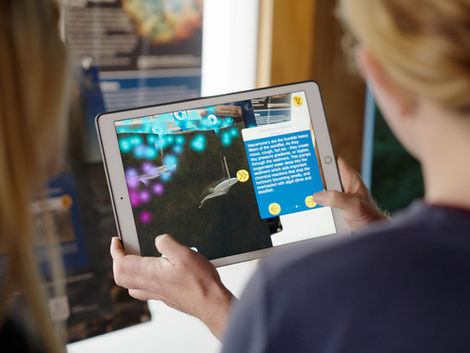 Two people viewed from behind sharing a tablet displaying the Sandflat Heroes augmented reality game, with a glowing 3D cross section of sand revealing hidden creatures living beneath the surface, alongside a blue information panel, in an aquarium.