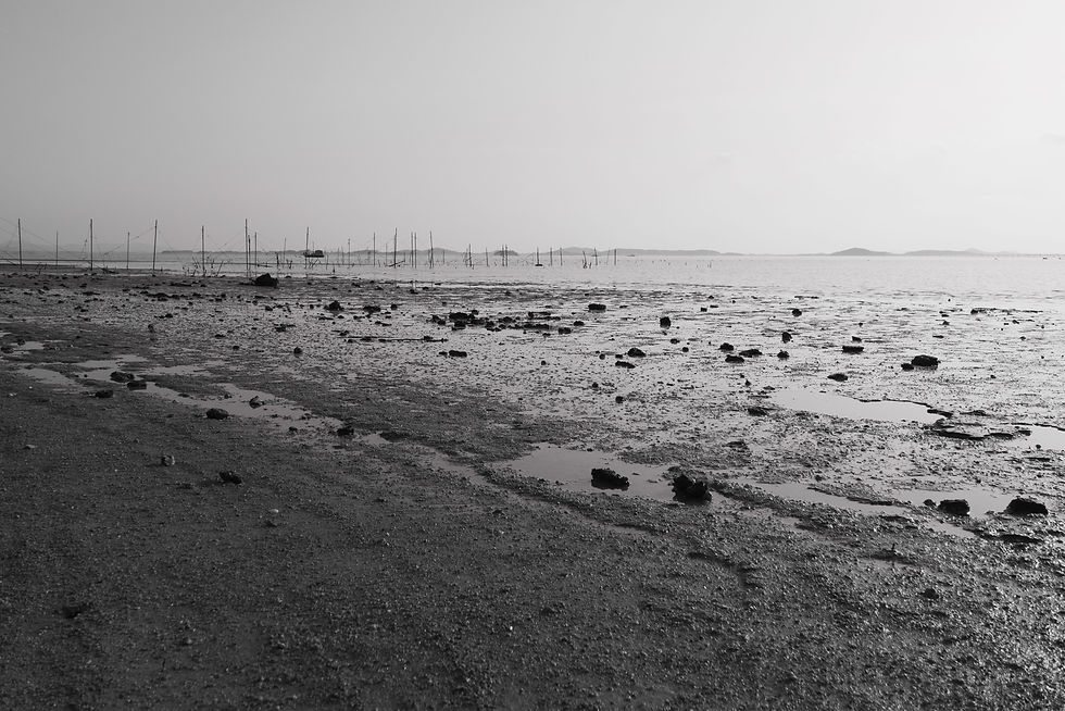 Sandflat.jpg