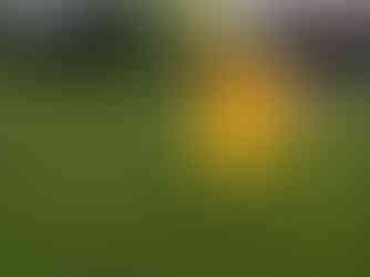 What's the Plan Stan game screenshot showing a yellow raincoat floating in heavy rain as an interactive collectible, with a 1:52 timer