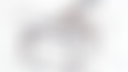 Elecciones y Desinformación