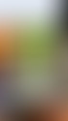 A yellow beer sitting in a fridge by a bunch of beer cans. It sits next to one that says "King of Cool"