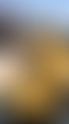 3 hands with yellow leather gloves on, clinking 3 small glasses full of dark liquid that say "Beer Dabbler"