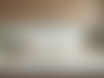 Essential Move-In Cleaning Essentials for New Homes