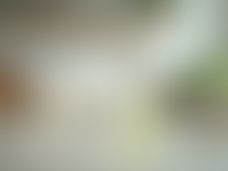 Discover the Benefits of Eco-Friendly Cleaning Solutions for Your Home