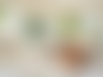 CMR Cleaning Experts: Excellence in Orlando