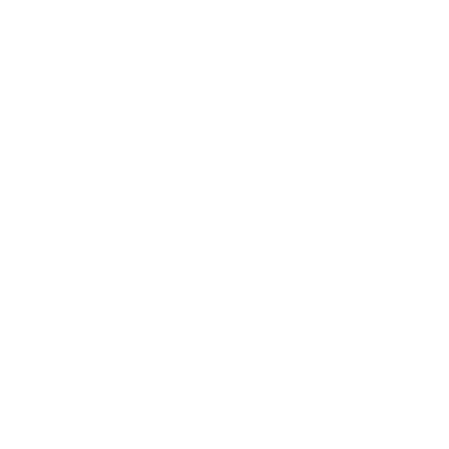 bjornlogo_white