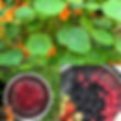 photo fruits rouges