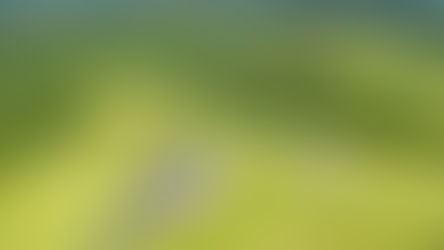 Aerial view of a luxury home in Aldie VA on 25 acres of Loudoun County countryside with sweeping mountain and pasture views.