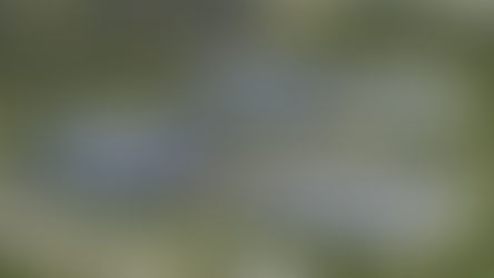 Ashburn Data Center Deal: What Homeowners Should Know About the $4M Offers