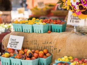 10 Best Things to Do Near Aldie VA This Summer