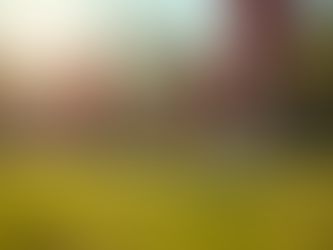 Active Play and Teamwork in After School Programs