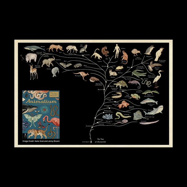 Animalium_tree_Highlight3_bigFrame.tif