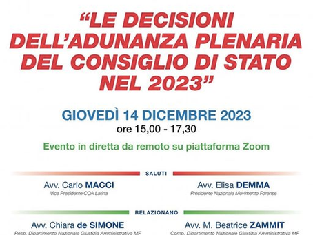 WEBINAR "LE DECISIONI DELL'ADUNANZA PLENARIA DEL CONSIGLIO DI STATO NEL 2023"